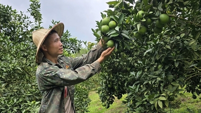 Lang Son face un progres în reducerea sărăciei multidimensionale