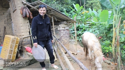 Gemeinde Chien Thang: Der Ausweg aus der Armut durch die Zucht weißer Pferde