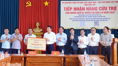 Донгнай выделил 10 миллиардов донгов провинции Даклак на преодоление последствий стихийных бедствий и наводнений