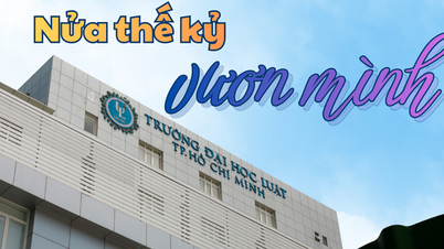 Півстоліття розвитку юридичного університету міста Хошимін