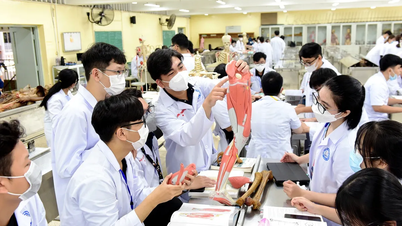 ¡Haz lo básico correctamente!