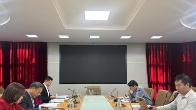 4-й підкомітет журналу Dien Hong зібрався для попередньої оцінки робіт-учасниць.