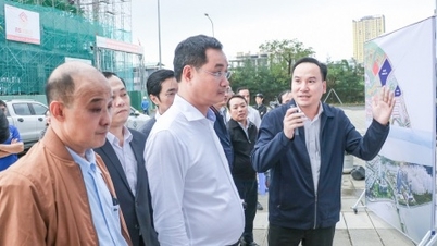 دانانگ انتظار دارد در مرحله اول ۵ تا ۷ سرمایه‌گذار استراتژیک را به مرکز مالی جذب کند.