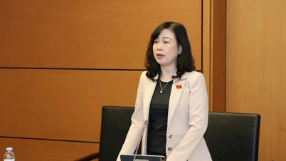 Priorizar la finalización del modelo de atención sanitaria de base