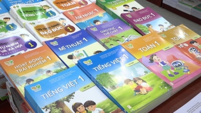 انتشارات آموزش ویتنام در عصر جدید ملت، به شدت در حال خلق و دگرگونی است.