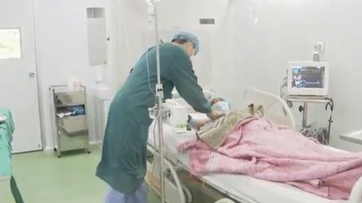 Pacientes se surpreendem com o custo do transplante de células-tronco para tratar doenças malignas do sangue.