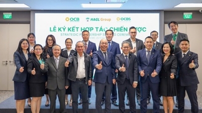 OCB, OCBS dan Hoang Anh Gia Lai berganding bahu untuk bekerjasama