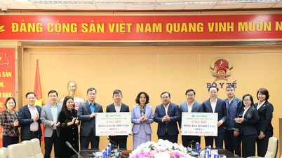 Ministry of Health receives 20 tons of disinfectant chemicals to support flood-affected areas