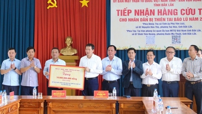 Dong Nai steunt Dak Lak met 10 miljard VND om natuurrampen en overstromingen te boven te komen