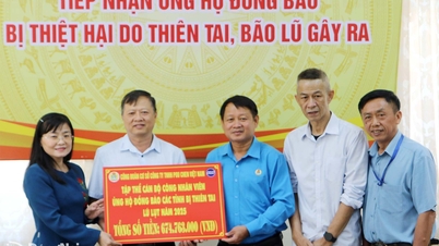 A Dong Nai tartományi Vietnami Hazafias Front Bizottsága közel 19 milliárd VND-t kapott az árvizek sújtotta tartományok és városok lakosságának támogatására.