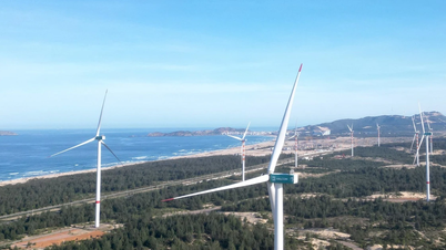 Gia Lai efterlyser investeringar i vindkraftsprojektet Hon Trau