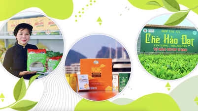 OCOP Thai Nguyen: De essentie distilleren - Identiteit verspreiden