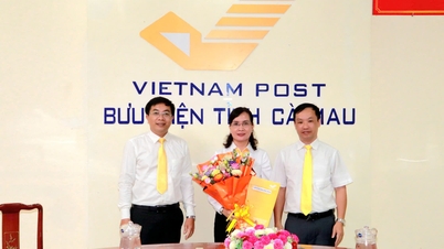 Провінційне поштове відділення Ка Мау набирає ключовий персонал з метою підвищення операційної ефективності