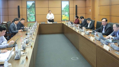 تحديث التعليم وتحسين جودة الرعاية الصحية