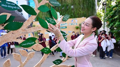 Miss World-organisatie onder de indruk van Bao Ngocs klimaatveranderingsproject
