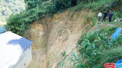 Estabilizar rápidamente la vida de los hogares en zonas de deslizamientos de tierra