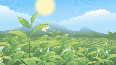 Inspirerende kreativitet for OCOP Thai Nguyen