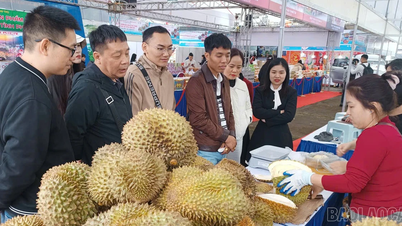 Μεγάλη ευκαιρία για τις βιετναμέζικες εξαγωγές γεωργικών προϊόντων