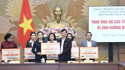 Фу Тхо выделяет 26 миллиардов донгов шести районам на борьбу с наводнениями, Ламдонг получает 5 миллиардов донгов.