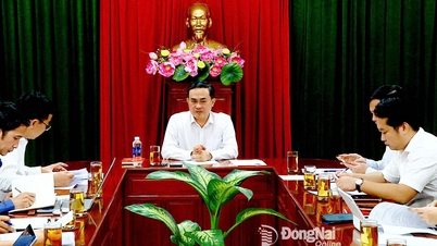 ドンナイ省、老人ホームと高齢者ケアセンターの開発計画を検討