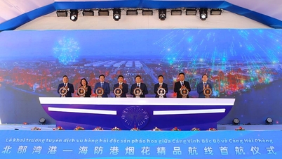 بندر های فونگ از مسیر جدید خدمات رسانی خط کشتیرانی خلیج تونکین استقبال می‌کند: اتصال گوانگشی - های فونگ - آمریکا