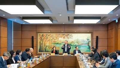 رؤية صحيحة وشاملة في تنمية الموارد البشرية الوطنية