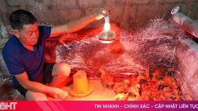 দারিদ্র্য হ্রাস নীতি - ভিয়েতনাম জুয়েনে টেকসই উন্নয়নের চালিকা শক্তি