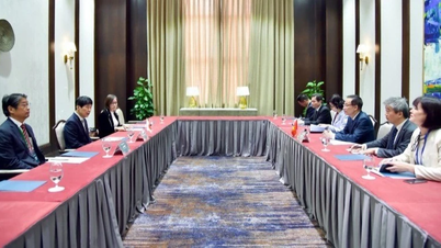 מקווה שהיישובים היפניים ילוו את וייטנאם בשלב הפיתוח החדש