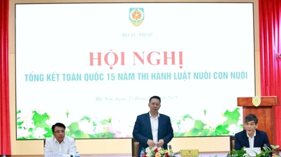 Удосконалення правової системи для кращого забезпечення прав дітей