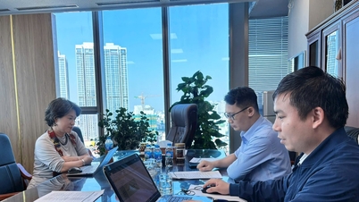 ועדת המשנה הרביעית של פרסי הטלוויזיה דיאן הונג קיימה ישיבת שיפוט מקדימה.