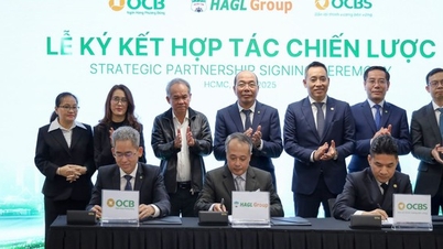 OCB, OCBS 및 Hoang Anh Gia Lai가 전략적 협력 계약을 체결했습니다.