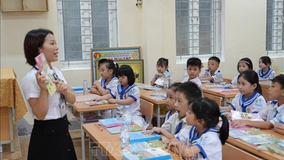 کنٹریکٹ اساتذہ مناسب علاج کروانا چاہتے ہیں۔