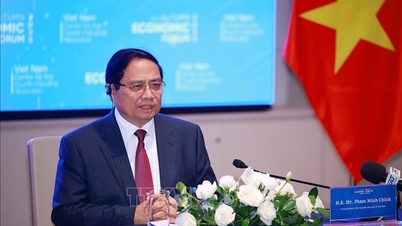 Премьер-министр принимает представителей международных компаний в финансовом секторе