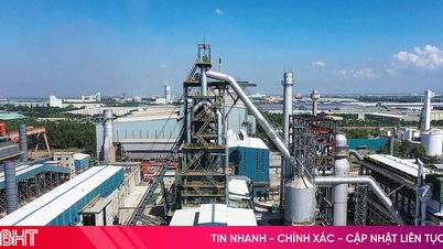 Vingroup coopera y apoya el desarrollo de Pomina