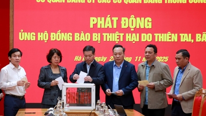 Партийные комитеты центральных партийных органов оказывают поддержку жителям Южно-Центрального региона, пострадавшим от наводнений.