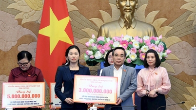 Провинция Фу Тхо выделяет 3 млрд донгов провинции Кханьхоа на преодоление последствий стихийных бедствий.