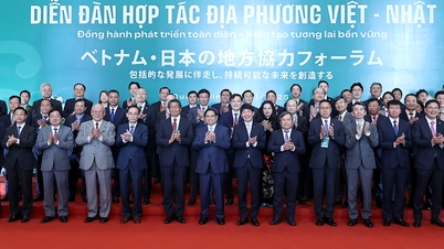 Vietnam - Japan: Omfattande utvecklingssamarbete - Att skapa en hållbar framtid