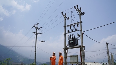 লাও কাই ইলেকট্রিসিটি কোম্পানি: অনুকরণ আন্দোলনের মাধ্যমে শক্তিশালী গতি তৈরি করছে