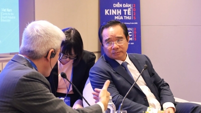 סדרה של חברות מובילות מארה"ב, סין... מחפשות הזדמנויות השקעה בהו צ'י מין סיטי