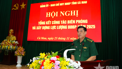 A Guarda de Fronteira Provincial de Ca Mau resume o trabalho da Guarda de Fronteira em 2025.