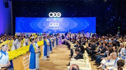 Diplomatiskt tes uppgång - World Tea Connect