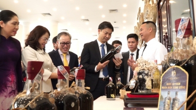 Quang Ninh mengklasifikasikan dan mengevaluasi produk OCOP