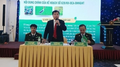 ការពង្រឹងការសម្របសម្រួលអន្តរវិស័យ និងការសម្របសម្រួលរបស់មន្ត្រីអនុរក្សព្រៃឈើ ដើម្បីបង្រួបបង្រួមការការពារព្រៃឈើយ៉ាងសកម្ម