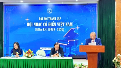 Dr. Nguyen Van Than werd verkozen tot voorzitter van de Vietnam Classical Music Association.