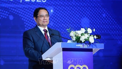 Prime Minister Pham Minh Chinh attends CEO 500 Program - TEA CONNECT