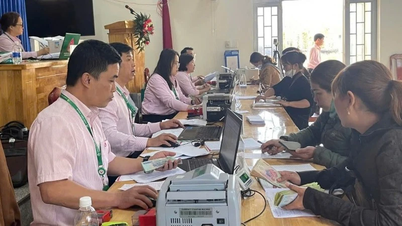 정책 신용은 람동 사람들을 동반합니다