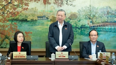 Secretário-Geral para Lam: Resolver as doenças pela raiz, controlando o meio ambiente.