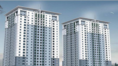 บั๊กนิญกำหนดให้มีการจัดการเรื่องนายหน้าผิดกฎหมายและการขายที่อยู่อาศัยสังคมผิดกฎหมาย