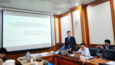 Undersöka och utvärdera rollen och statusen för det undervattensbaserade kulle- och högekosystemet och föreslå lösningar för att bibehålla och återställa ekosystemet i kustvattnen i norra centrala Vietnam.