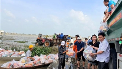 En el corazón del 'gran diluvio' - Parte 3: Las aguas retroceden, el amor humano surge